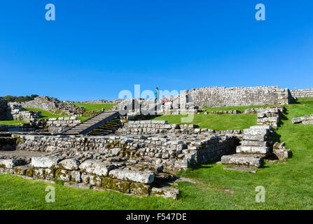 Housesteads Roman Fort am Hadrianswall, Northumberland, England, UK Stockfoto