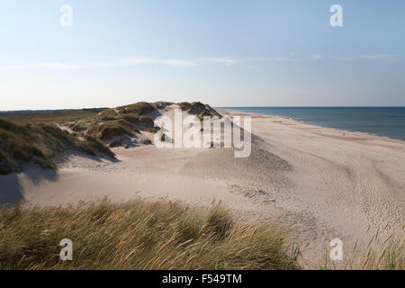 Der Strand von White Sands. Der Strand südlich von der Stadt von Hvide Sande in Dänemark hat in der Tat weißer Sand. Stockfoto