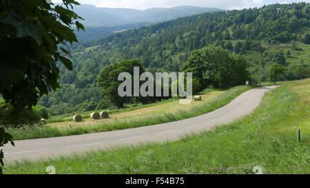 Vogesen, Frankreich, Elsass, Lothringen Stockfoto