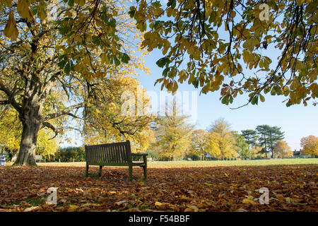 Holzbank auf Kingham Dorfplatz im Herbst. Cotswolds, Oxfordshire, England Stockfoto