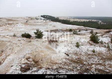 Verschneite Dünen Stockfoto