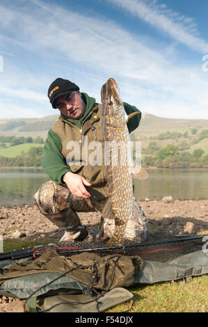 Grobe Fisher am Semerwater in North Yorkshire mit einem frisch gefangenen Hecht, Esox Lucius. Stockfoto