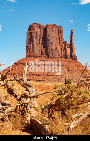 West-Handschuh, Monument Valley, Arizona, USA Stockfoto