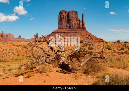 West-Handschuh, Monument Valley, Arizona, USA Stockfoto