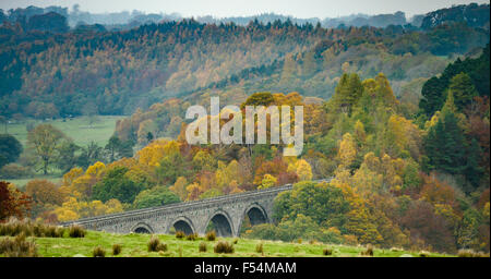 Tynedale, Northumberland, UK. 27. Oktober 2015. Herbstfärbung umgeben Lambley Viadukt in South Tynedale, Northumberland: Kredit-27. Oktober 2015: STUART WALKER/Alamy Live News Stockfoto