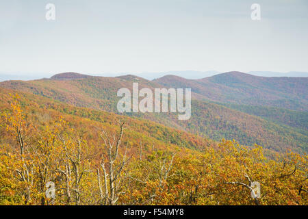 Talimena scenic Byway, die entlang dem Kamm des Berges im Ouacahita National Forest Stockfoto