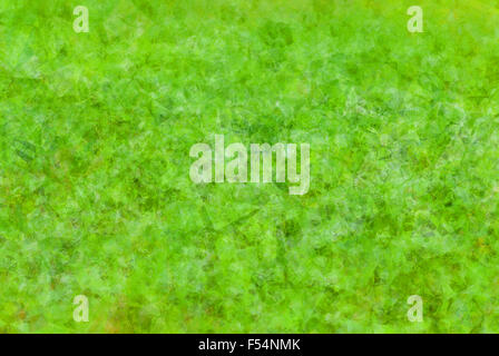 Abstrakt grüne Hintergrundfarbe Kalk Stockfoto