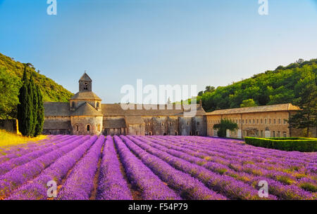 Abtei von Senanque und blühenden Zeilen Lavendel Blumen bei Sonnenuntergang. Gordes, Luberon, Vaucluse, Provence, Frankreich, Europa. Stockfoto