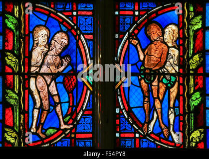 Glasmalerei-Fenster Darstellung von Adam und Eva in der Kathedrale von Tours, Frankreich. Stockfoto