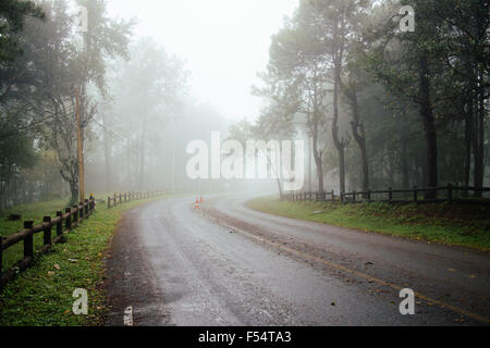 Straße durch Wald mit Nebel und nebligen Landschaft in Thailand regnet Tag Stockfoto