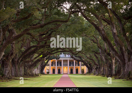 Eiche Alley Plantation antebellum Herrenhaus und Baldachin aus Eichen entlang des Mississippi River bei Vacherie, Louisiana, USA Stockfoto