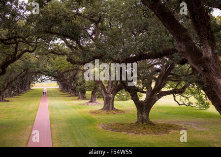 Paar unter Vordach des südlichen Eichen am Oak Alley Plantation antebellum Herrenhaus von Mississippi in Vacherie, USA Stockfoto