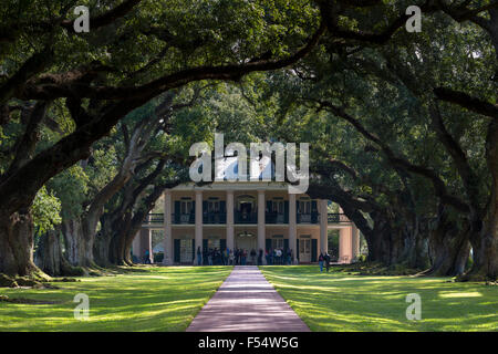 Eiche Alley Plantation antebellum Herrenhaus und Live Oak Bäume entlang Mississippi Fluß bei Vacherie, Louisiana, USA Stockfoto