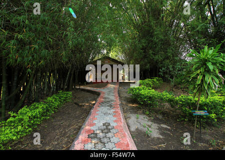 Bamboo Groove Cottege in Periyar Tiger reserve Stockfoto