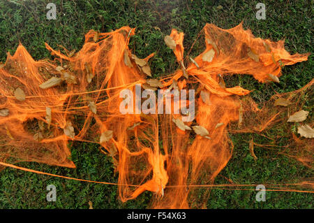 Orangefarbene Halloween Spinnennetze und Herbstblätter an einer Hecke, Vancouver, BC, Kanada Stockfoto