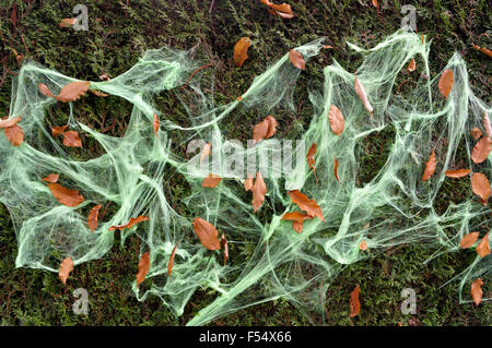 Grüne Halloween Spinnennetze und Herbstblätter auf einer Hecke Stockfoto