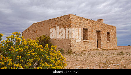 Ruinen der historischen Stein des 19. Jahrhunderts Carcory Gehöft, Hütte mit Wildblumen blühen unter Gewitterhimmel, outback Australien Stockfoto