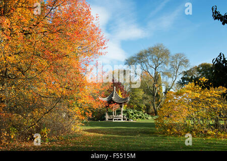 Chinesische Pagode in der RHS Wisley Gardens im Herbst. Surrey, England Stockfoto