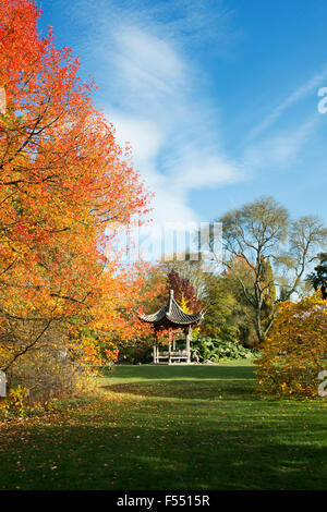 Chinesische Pagode in der RHS Wisley Gardens im Herbst. Surrey, England Stockfoto