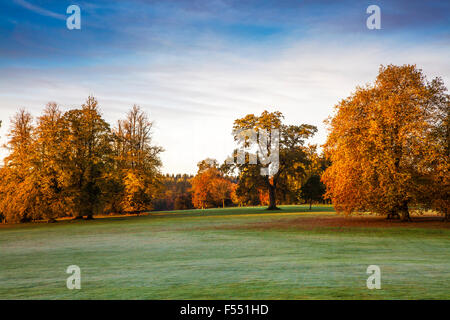 Die Parklandschaft auf dem Bowood Anwesen in Wiltshire im Herbst. Stockfoto