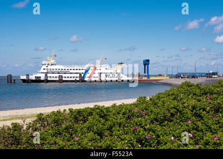 DEU, Deutschland, Schleswig-Holstein, Insel Amrum, Fähre Schiff der Reederei Firma Wyker Dampfschiffs-Reederei im Hafen von Stockfoto