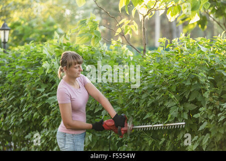 Frau trimmen Pflanzen mit Heckenschere am Hof Stockfoto