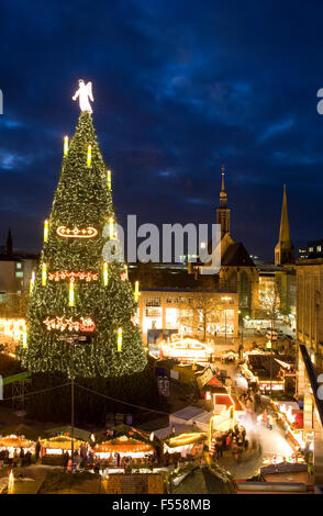 DEU, Deutschland, Nordrhein-Westfalen, Ruhrgebiet, Dortmund, Hoechster Weihnachtsbaum der Welt Auf Dem Weihnachtsmarkt Auf Dem H Stockfoto