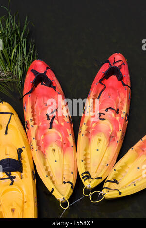 Bunte Kajaks auf dem Fluss. Stockfoto