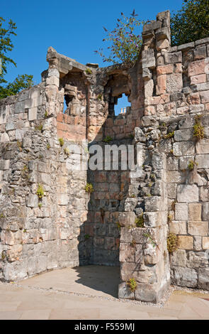 Abschnitt der Stadtmauern im Sommer York North Yorkshire England Großbritannien GB Großbritannien Stockfoto