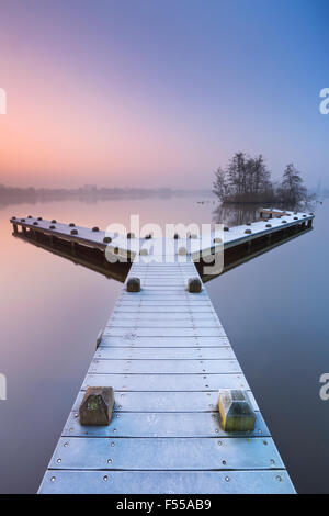 Eine frostige Steg an einem schönen nebligen Morgen im Winter. Bei Sonnenaufgang fotografiert in der Amsterdamse Bos (Amsterdamer Wald). Stockfoto