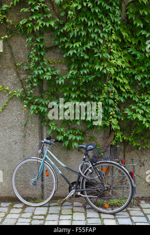 Fahrrad geparkt unter einer Wand und Laub auf einer gepflasterten Straße in Passau, Bayern, Deutschland. Stockfoto