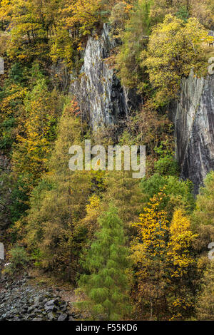 Verlassene Schieferbergwerk Vegetation und Bäume übernommen Stockfoto