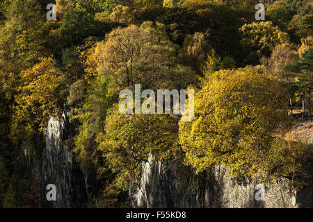 Verlassene Schieferbergwerk Vegetation und Bäume übernommen Stockfoto