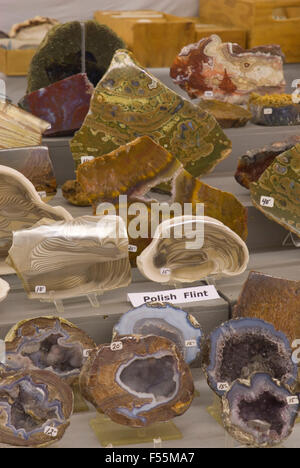 Rock und mineralischen Display, Willamette Achat & Mineral Society & Juwel Rock Show, Polk County Fairgrounds, Oregon Stockfoto