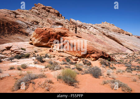 Farbigen Sandstein-Formationen im Rainbow Vista Valley of Fire State Park, Nevada, USA Stockfoto