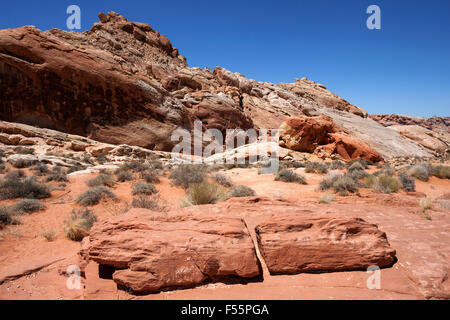 Farbigen Sandstein-Formationen im Rainbow Vista Valley of Fire State Park, Nevada, USA Stockfoto