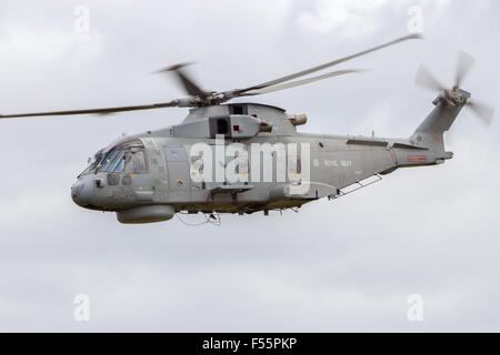 Britische königliche Marine Merlin Hubschrauber fliegen während der NATO Tiger Meet bei Schleswig-Jagel Airbase. Stockfoto