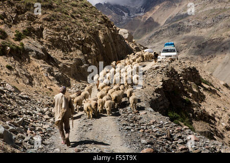 Indien, Himachal Pradesh, Spiti, Chandra Taal, Hirte mit der Herde von Schafen und Ziegen auf Kunzum La Passstrasse Stockfoto