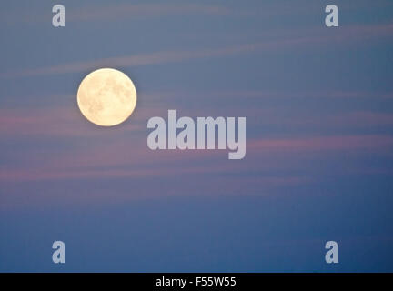 Brillante Vollmond auf rosa und blauen Himmel, Stockholm, Schweden im Oktober. Stockfoto