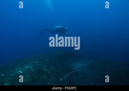 wissenschaftliche Taucher mit stationären visuelle Volkszählung Methode um Fisch Fülle zu messen. Alcatrazes Insel Brasilien. Stockfoto