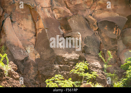 Olowalu Petroglyphen von Puu Kilea bei der Olowalu kulturellen Reserve, Maui, Hawaii. Stockfoto