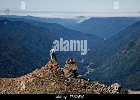 WASHINGTON - Wanderer mit Blick auf die Hoh River Valley von der Seite des Mount Carrie in der Bailey Palette der Olympic National Park. Stockfoto