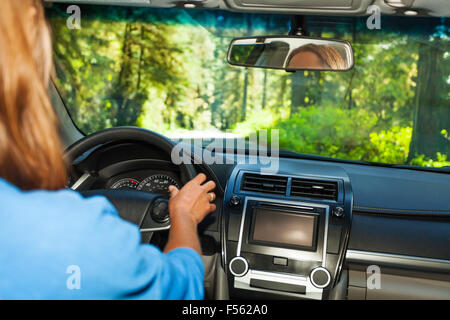 Treibende Frau im Auto mit Waldblick Stockfoto