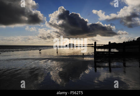 Worthing, Sussex, UK. 28. Oktober 2015. Hund Wanderer genießen das schöne Wetter am Worthing Strand dieser Nachmittag eine Mischung aus Sonne und dunkle Wolken, wie ungewöhnlich warmen herbstlichen Temperaturen in ganz Großbritannien Kredit weiter: Simon Dack/Alamy Live News Stockfoto