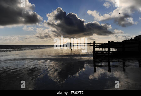 Worthing, Sussex, UK. 28. Oktober 2015. Hund Wanderer genießen das schöne Wetter am Worthing Strand dieser Nachmittag eine Mischung aus Sonne und dunkle Wolken, wie ungewöhnlich warmen herbstlichen Temperaturen in ganz Großbritannien Kredit weiter: Simon Dack/Alamy Live News Stockfoto