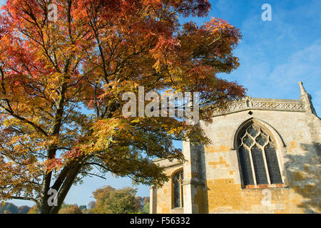 Sorbus. Herbstliche Eberesche auf dem Gelände des St.-Lorenz-Kirche, Bourton auf dem Hügel, Cotswolds, Gloucestershire, England Stockfoto
