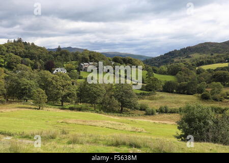 Langdale Tal im Herzen des Englands Lake District National Park. Stockfoto