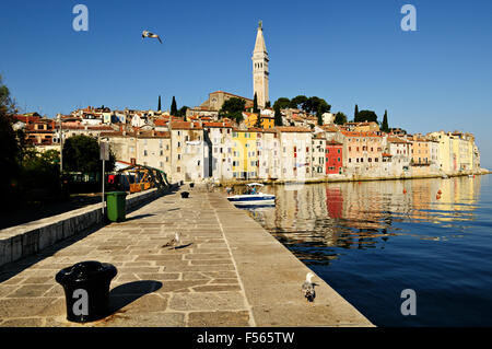 Altstadt von Rovinj mit Bell Turm der Heiligen Euphemia Basilika, Istrien, Kroatien Stockfoto