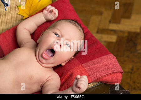 Neugeborene Baby liegend in einem Koffer für Reisen oder Fotografie-Konzept. Stockfoto