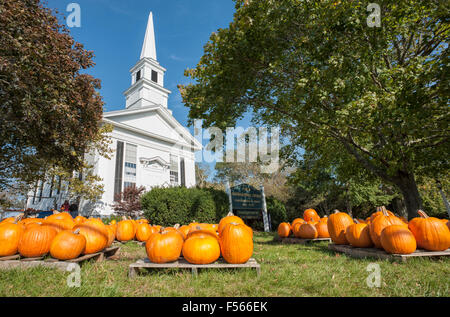 Pumpkin Patch Kürbisse zum Verkauf an der erste Congregational Kirche Vereinigte Kirche von Christus Cape Cod Chatham Massachusetts Stockfoto